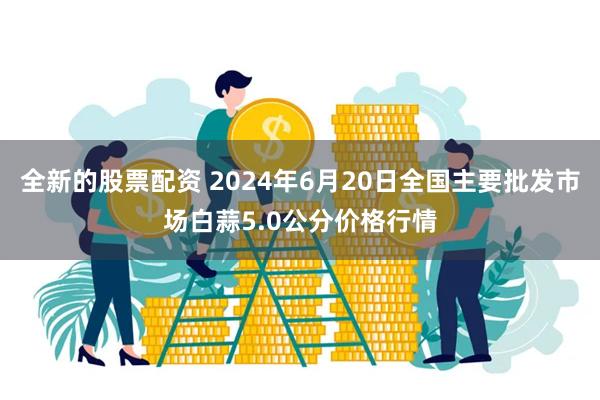 全新的股票配资 2024年6月20日全国主要批发市场白蒜5.0公分价格行情