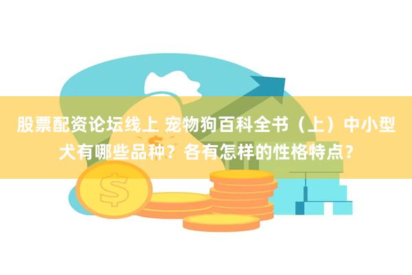 股票配资论坛线上 宠物狗百科全书（上）中小型犬有哪些品种？各有怎样的性格特点？