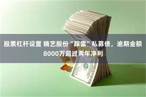 股票杠杆设置 精艺股份“踩雷”私募债，逾期金额8000万超过两年净利