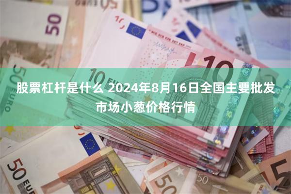 股票杠杆是什么 2024年8月16日全国主要批发市场小葱价格行情