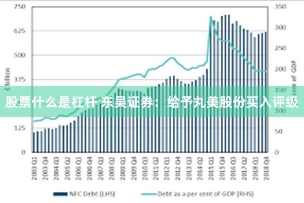 股票什么是杠杆 东吴证券：给予丸美股份买入评级