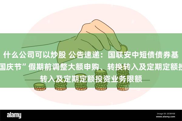 什么公司可以炒股 公告速递：国联安中短债债券基金2024年“国庆节”假期前调整大额申购、转换转入及定期定额投资业务限额