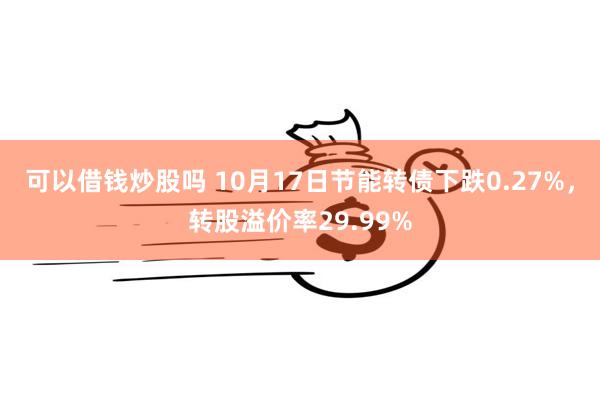 可以借钱炒股吗 10月17日节能转债下跌0.27%，转股溢价率29.99%