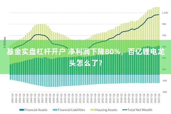 基金实盘杠杆开户 净利润下降80%，百亿锂电龙头怎么了？