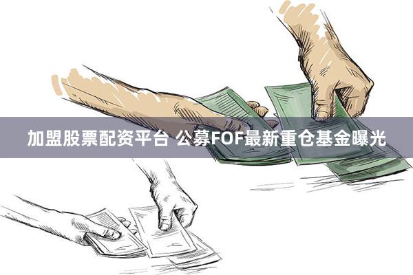 加盟股票配资平台 公募FOF最新重仓基金曝光