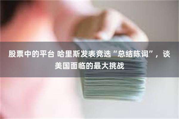 股票中的平台 哈里斯发表竞选“总结陈词”，谈美国面临的最大挑战