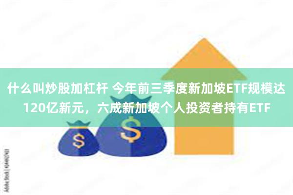 什么叫炒股加杠杆 今年前三季度新加坡ETF规模达120亿新元，六成新加坡个人投资者持有ETF