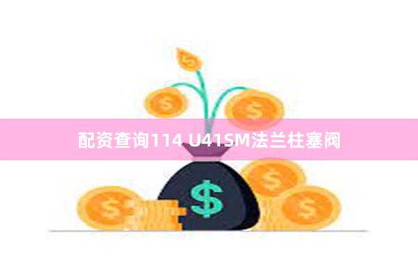 配资查询114 U41SM法兰柱塞阀