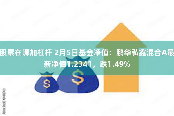 股票在哪加杠杆 2月5日基金净值：鹏华弘鑫混合A最新净值1.2341，跌1.49%